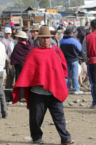 Markt in Riobamba